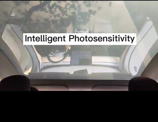 High-Tech Pdlc Smart Glass Polycarbonate Auto Glass for Car Sunroof &amp; Window