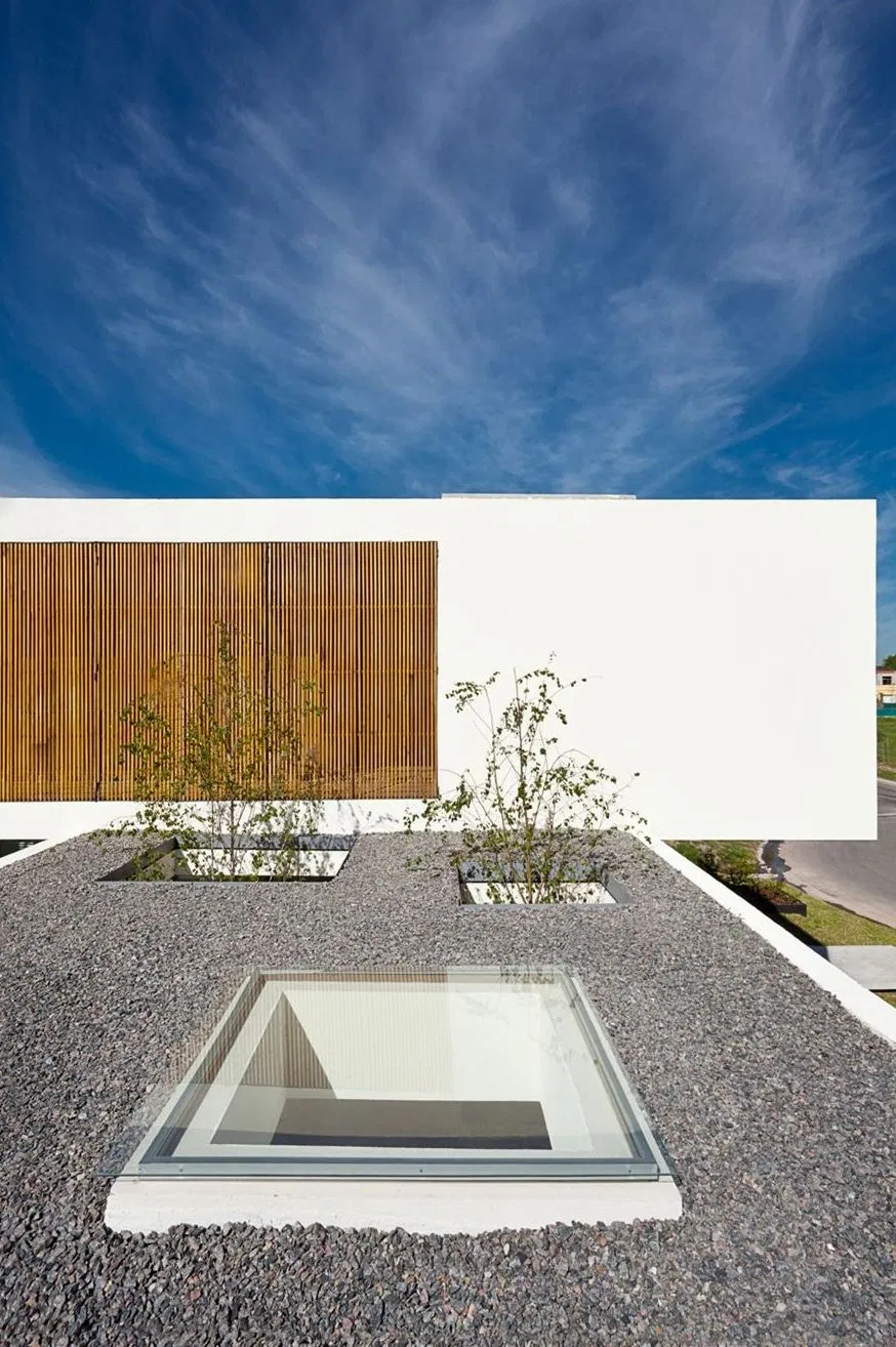 Natural Light Performance