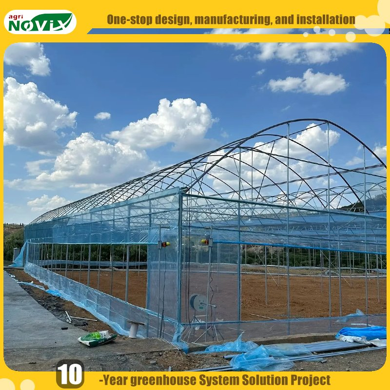 Single Span Film Greenhouse for Vegetables Strawberries with Watering Fertigation Irrigation System
