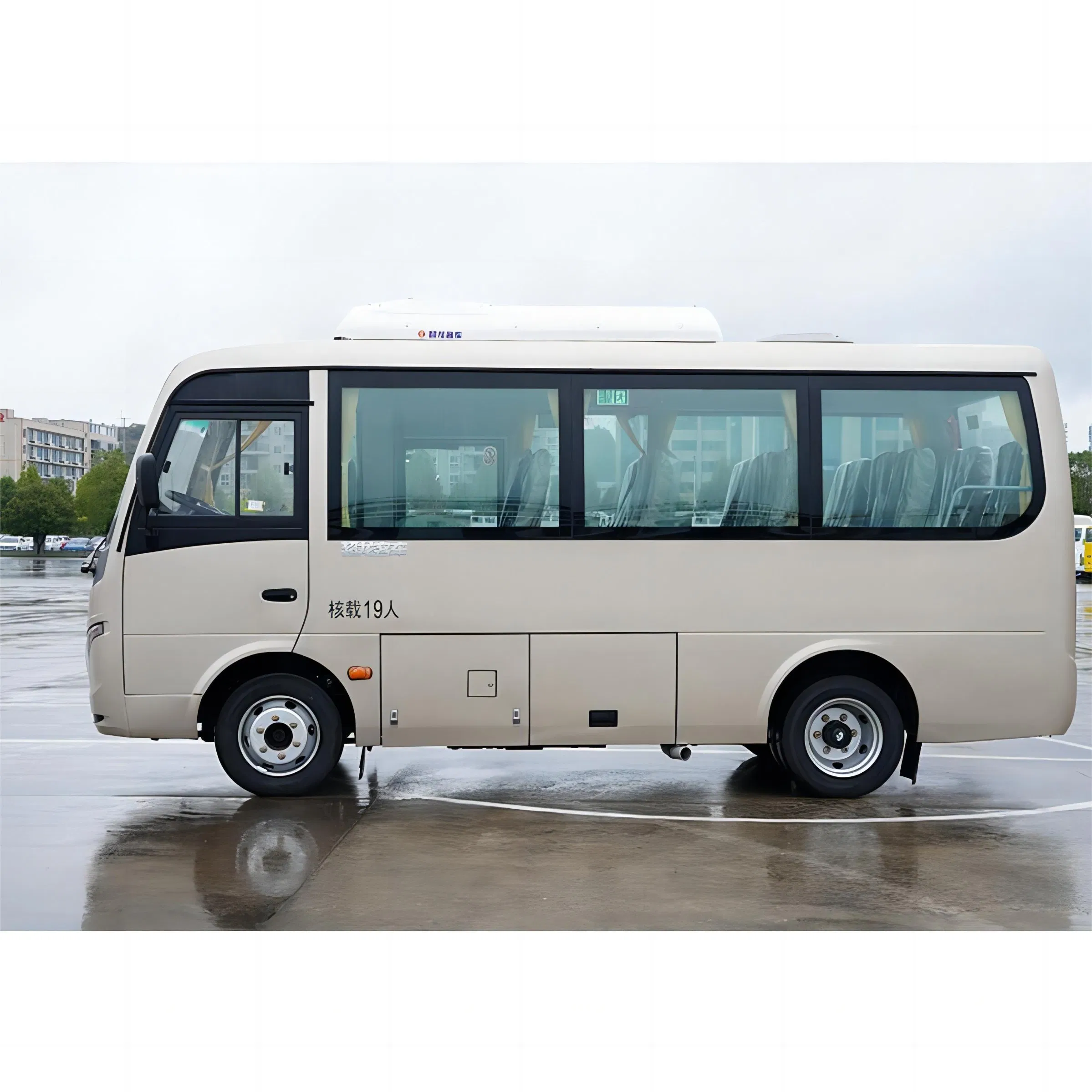Brand New 2023 Luxurious 19 Seater Dongfeng Euro 3 Mini Tour Bus Global Hot Sold BV