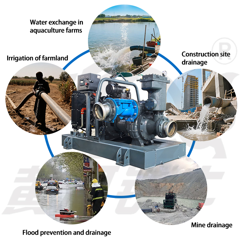 Fixed Emergency Flood Prevention Diesel Engine Self Suction Dewatering Pump
