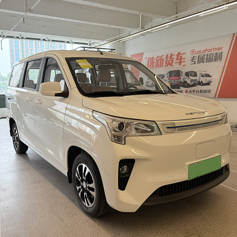 350km Dong Feng Van Byd Electric Engine Mini Bus with 8 Seater