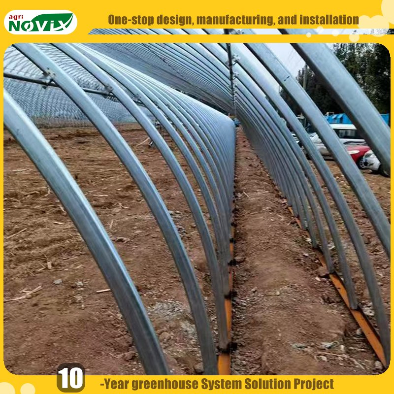 Single Span Film Greenhouse for Vegetables Strawberries with Watering Fertigation Irrigation System