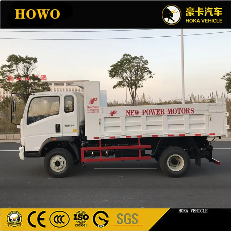 Light Dump Truck View 1