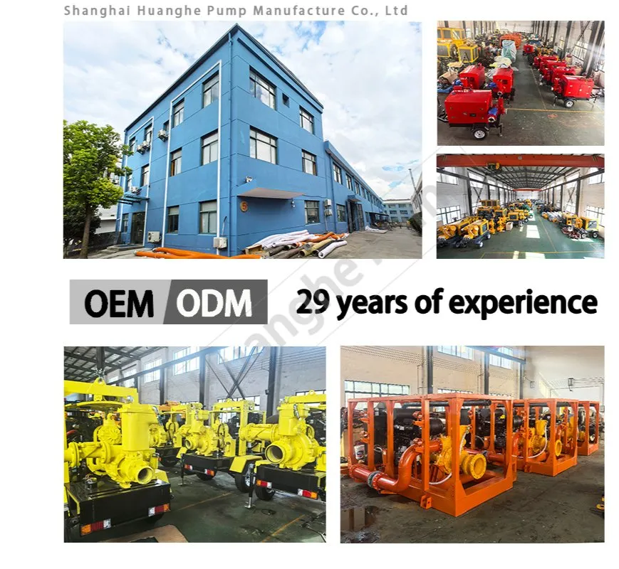 Diesel Engine Dewatering Pump