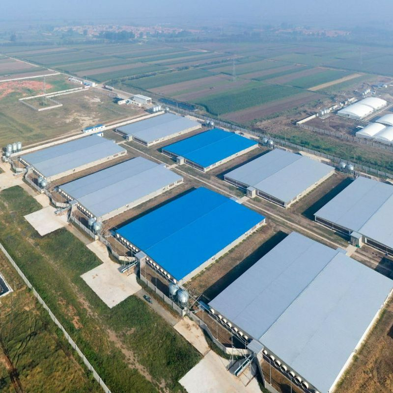 Steel Structure Workshop for Commercial Plant (XGZ-SSW 160)