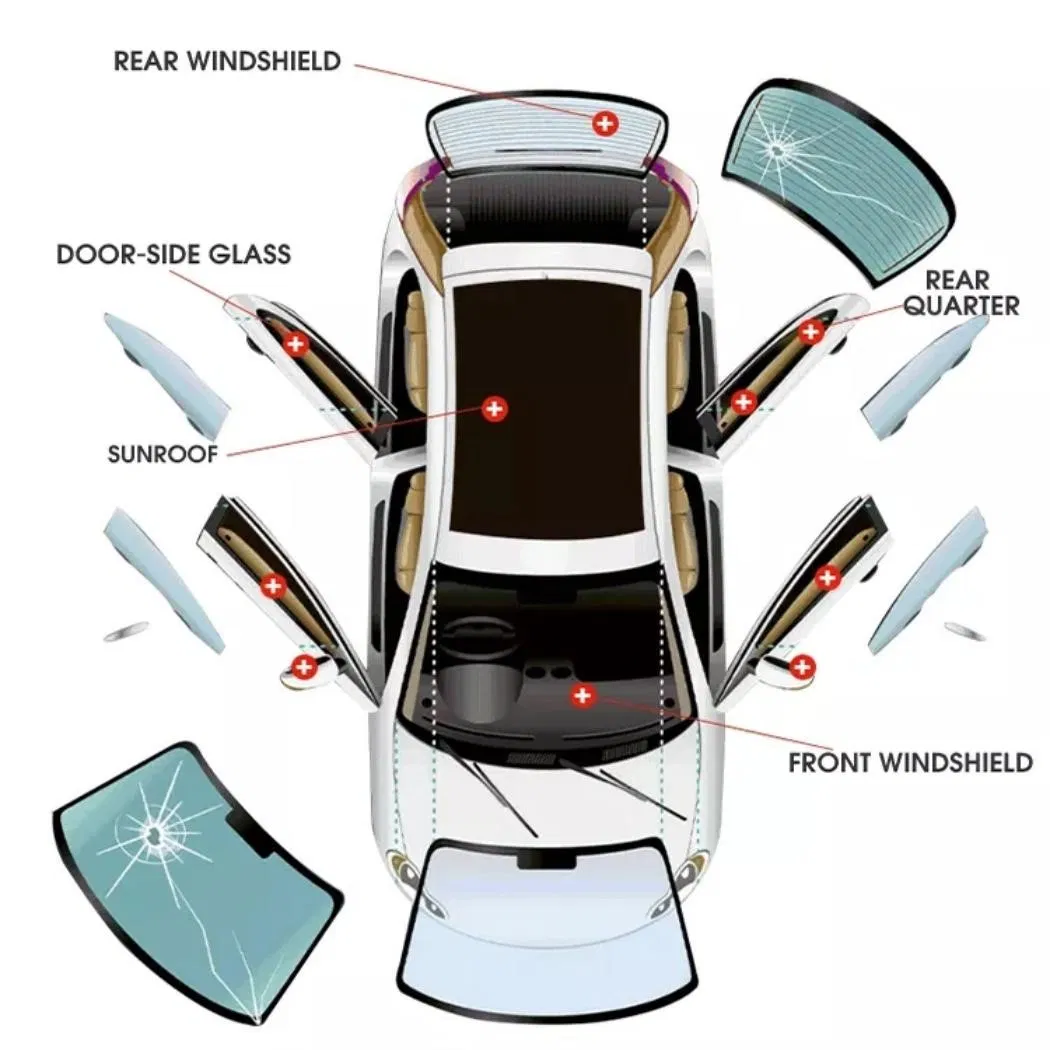 Auto Glass Windscreen