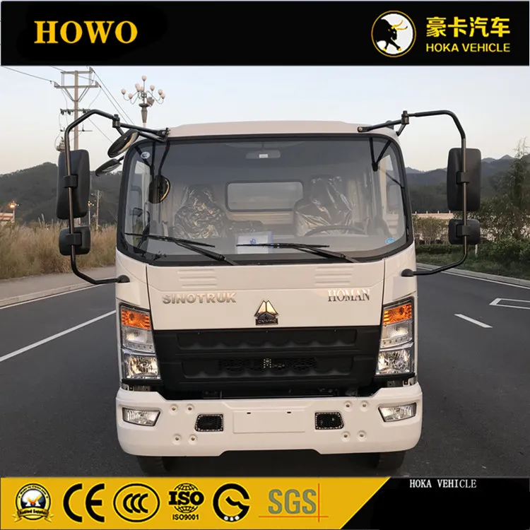 Light Dump Truck View 2