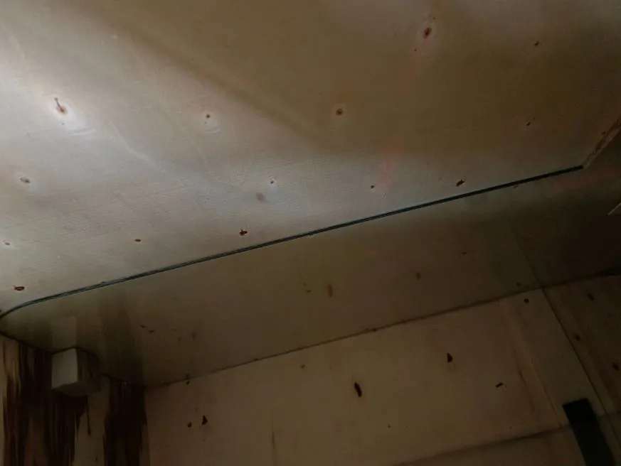 Front Windscreen Glass Detail 2