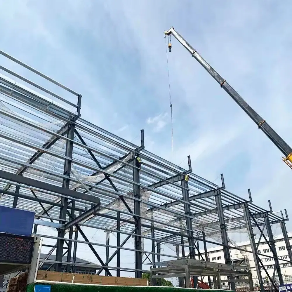 Customized Modern Prefabricated Light Steel Structure Residential House Steel Building