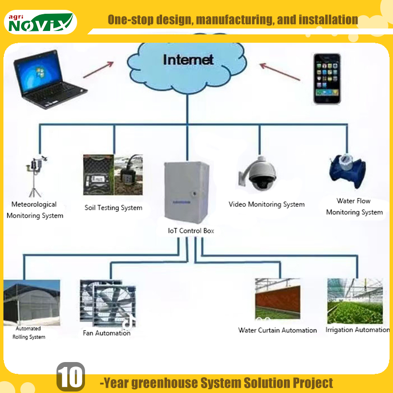 Single Span Film Greenhouse for Vegetables Strawberries with Watering Fertigation Irrigation System