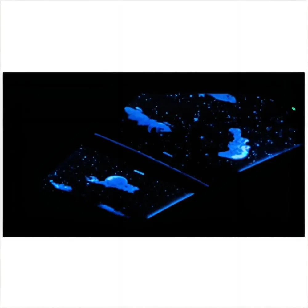 Starry Skylights Car Sunroof High-Quality PC Glass Car Skylight Forenhanced Driving Experience