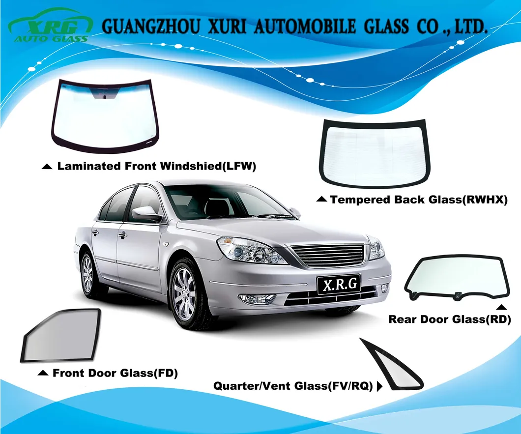 Auto Glass Detail