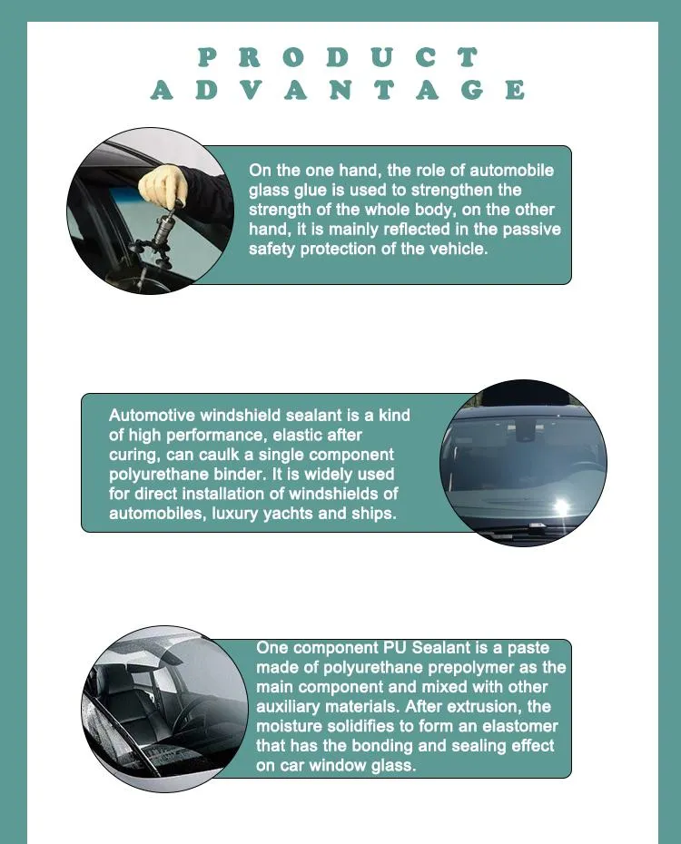 Auto Glass Sealant Usage