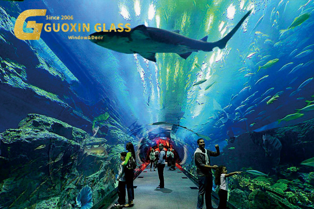 Premium Durable Tempered Glass for Home and Office Use