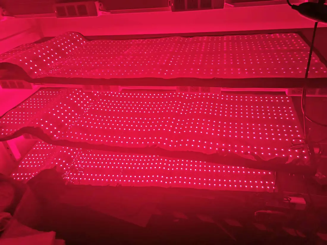 red light therapy feature 10