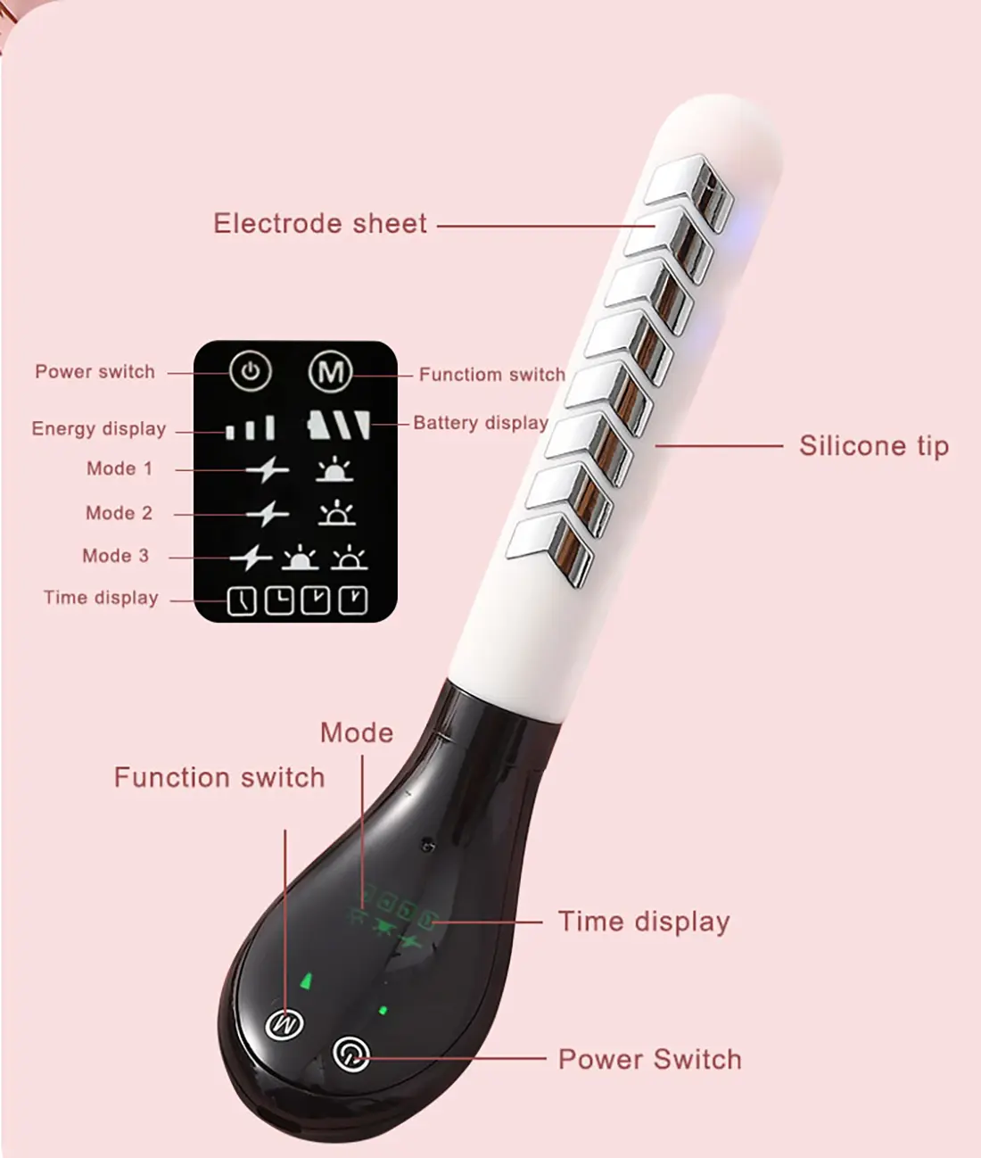 pelvic floor muscle-2mfz