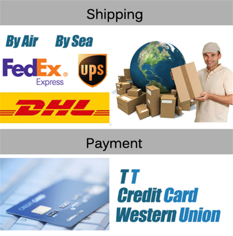 product description01