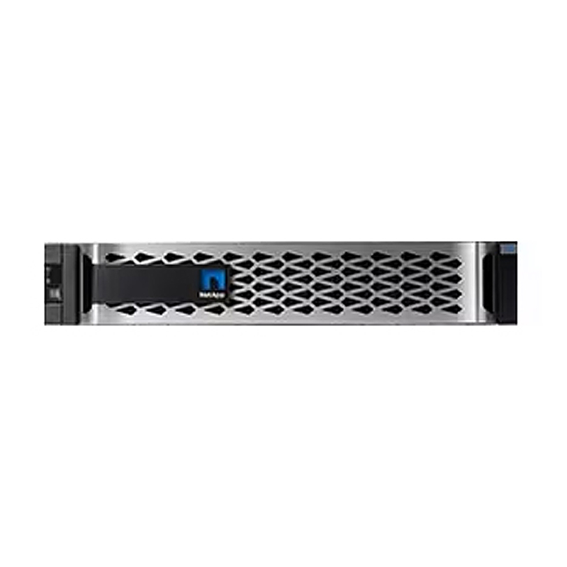NetApp AFF A20 All Flash Storage Solution with 128G Cache and 8*10Gb Network Card-in Stock