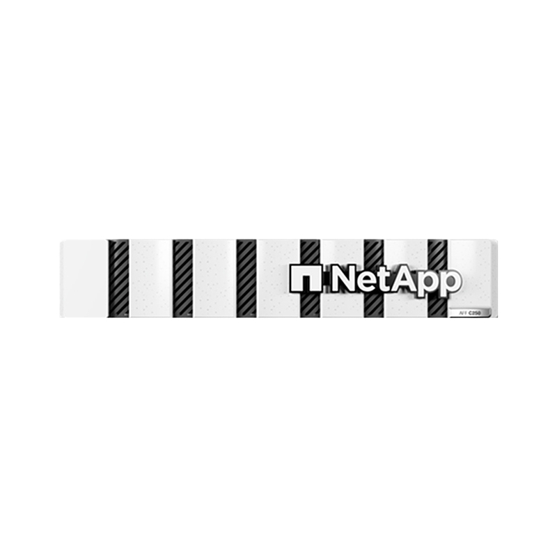 NetApp AFF C30 All Flash Storage Solution with USB Interface for Networking Storage