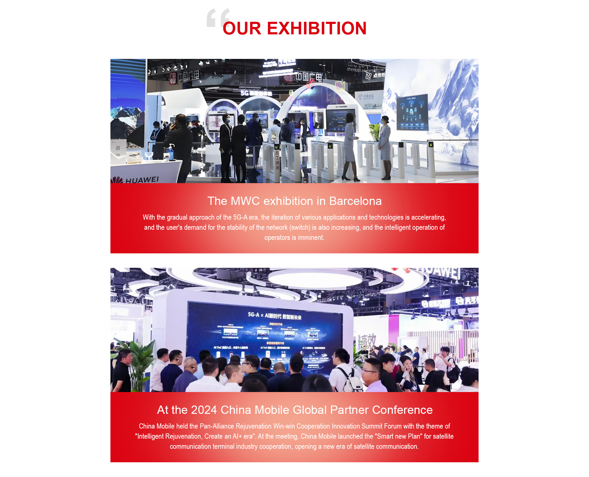 Exhibition Image