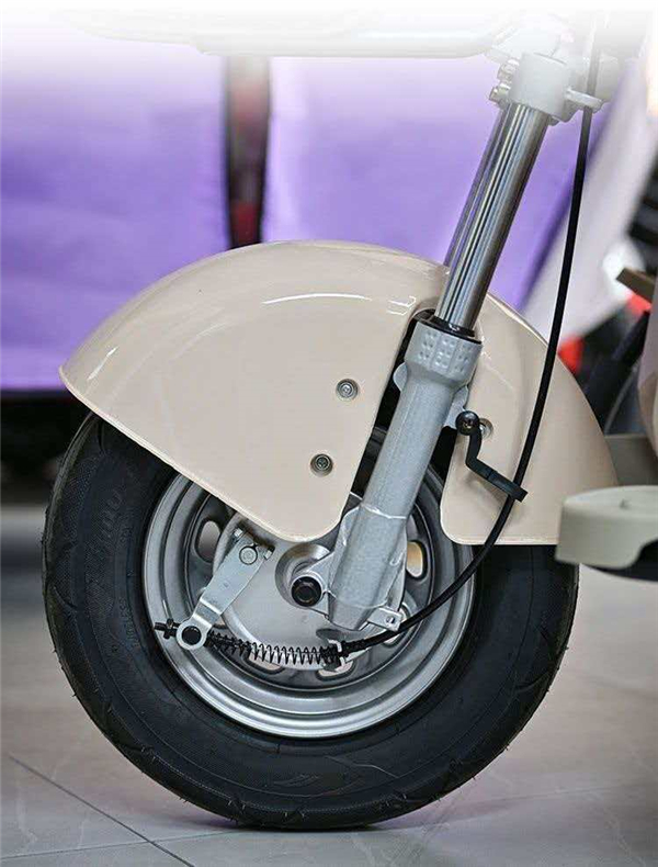 Electric tricycle DS-1 Powerful engine, safe and comfortable, ideal for urban transportation, cargo carrying and environmental protection (7)