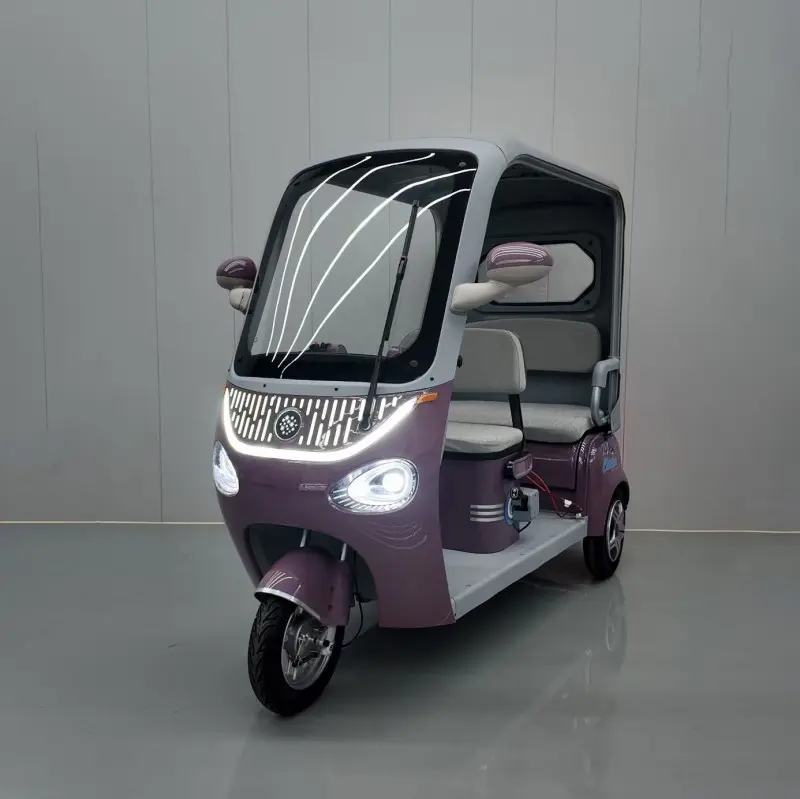 CE Certification China Electric Tricycle DS-2: High Performance, Safe Commuting & Cargo Solution from Leading Suppliers and Factory Supplier, Factory