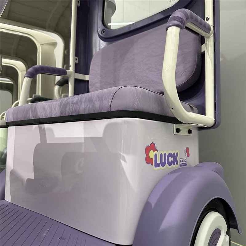 Electric tricycle DS-13 Powerful engine, safe and comfortable, ideal for urban transportation, cargo carrying and environmental protection (5)