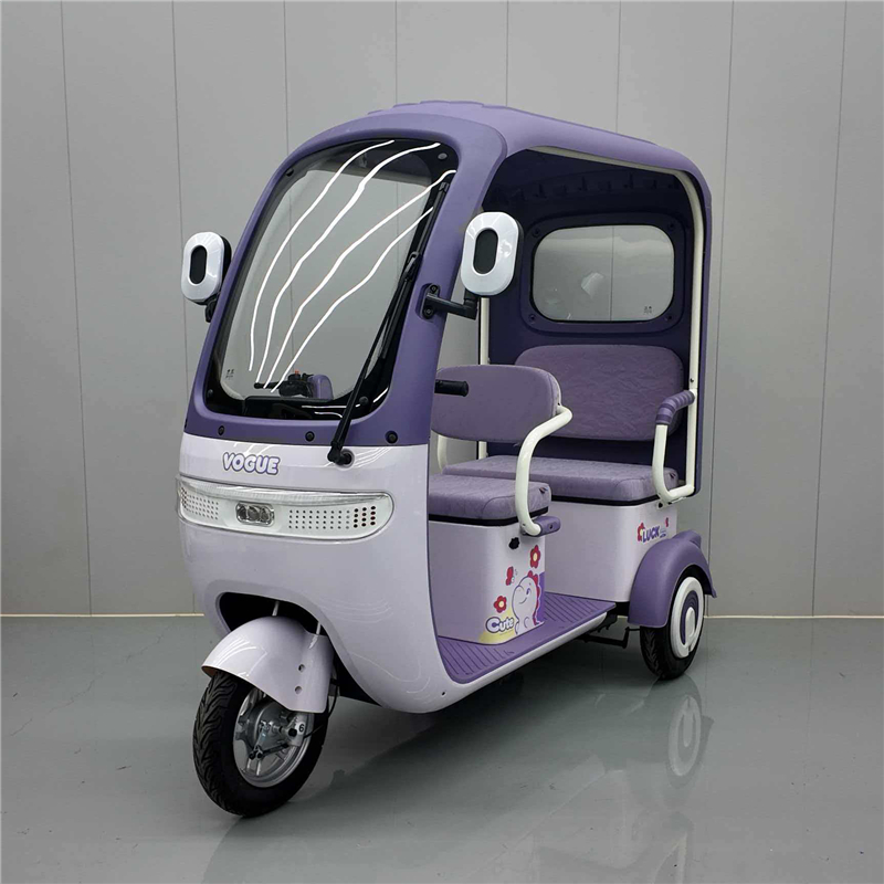 Custom China Electric Tricycle DS-13 from Reliable Suppliers: Powerful, Safe, and Eco-Friendly Urban Transportation Service, Exporters
