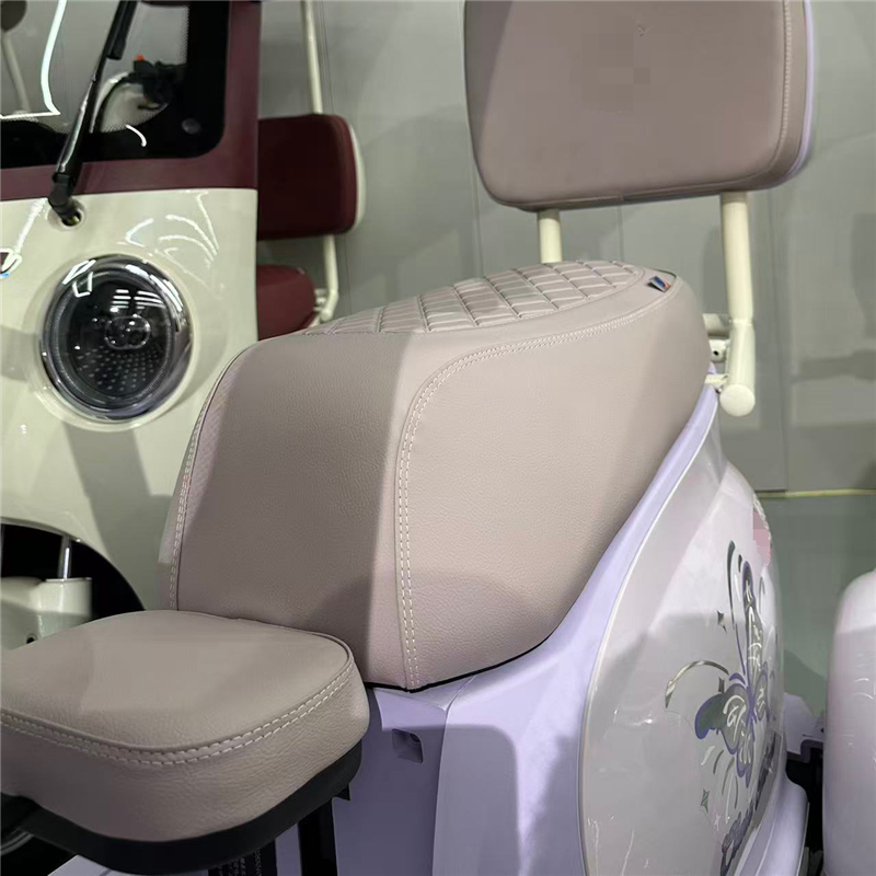 Electric Tricycle DS-11 – Powerful Engine, Safe and Comfortable, Urban Transportation (7)