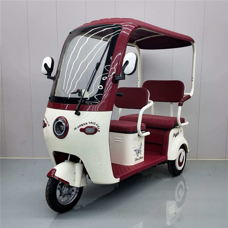 High-Quality DS-1 Electric Tricycle: Powerful Motor, Safe & Eco-Friendly Urban Transport by China Suppliers & Factory Manufacturer, Service