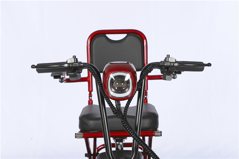 Electric Three-Wheeler S1 seat and battery