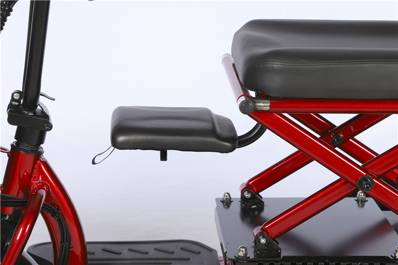 Electric Three-Wheeler S1 side view