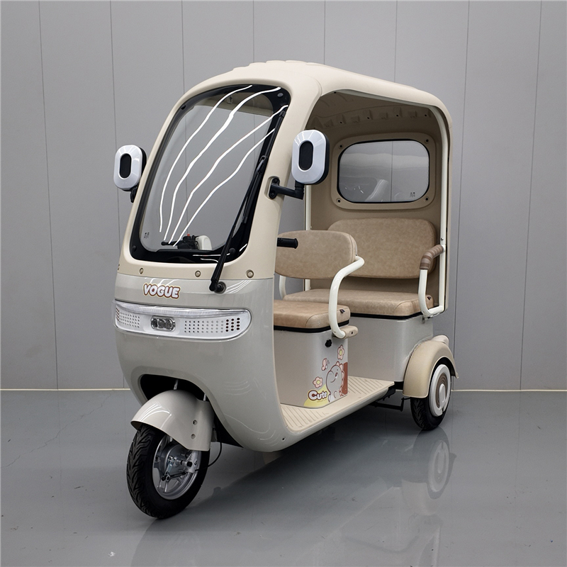Custom China Electric Tricycle DS-13 from Reliable Suppliers: Powerful, Safe, and Eco-Friendly Urban Transportation Service, Exporters