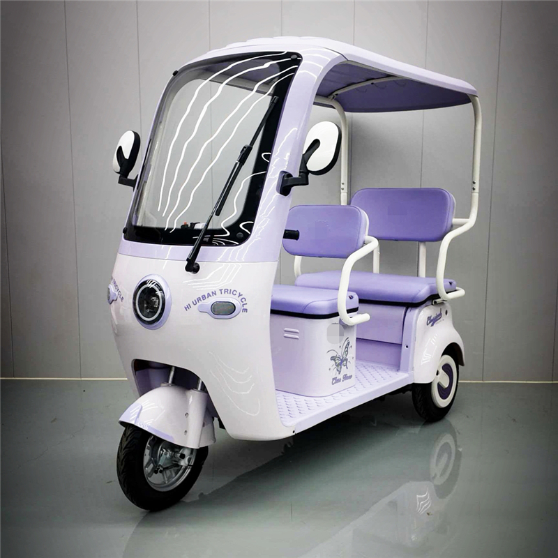 High-Quality DS-1 Electric Tricycle: Powerful Motor, Safe & Eco-Friendly Urban Transport by China Suppliers & Factory Manufacturer, Service
