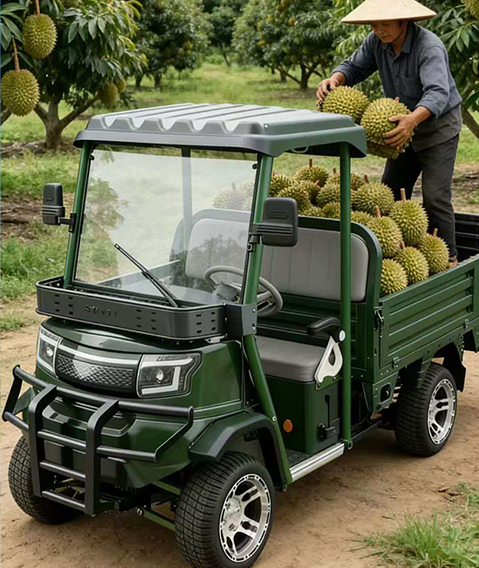 Passenger and cargo dual-use electric vehicle with powerful performance