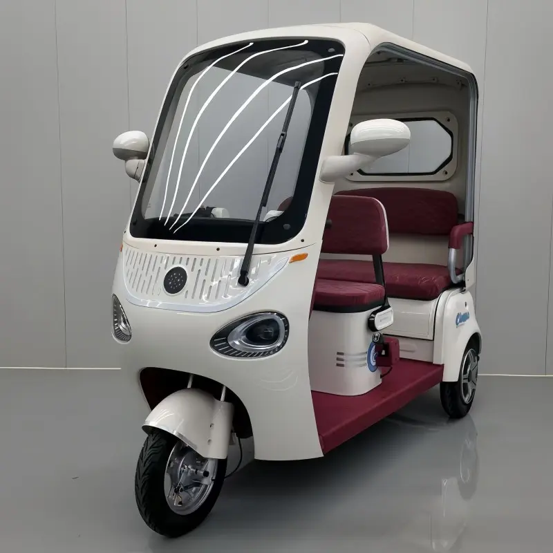 CE Certification China Electric Tricycle DS-2: High Performance, Safe Commuting & Cargo Solution from Leading Suppliers and Factory Supplier, Factory