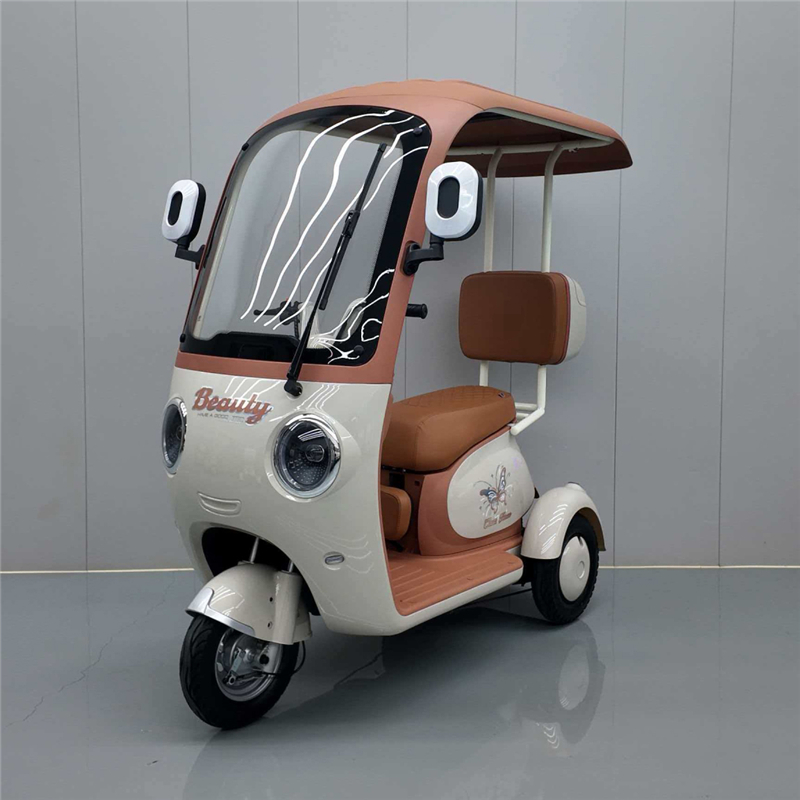 Custom High-Performance Electric Tricycle DS-11 from China Suppliers - Safe, Comfortable, and Eco-Friendly Urban Transport Factory Service, Exporters