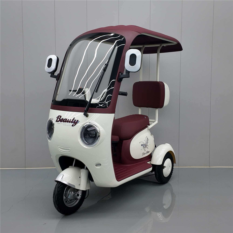 Custom High-Performance Electric Tricycle DS-11 from China Suppliers - Safe, Comfortable, and Eco-Friendly Urban Transport Factory Service, Exporters