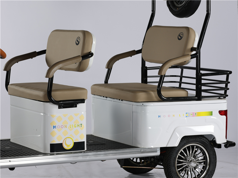 Electric Quad Vehicle VS-3 Powerful Performance, Safety and Comfort, Ideal for Urban Commuting and Cargo Transport, and Environmentally Friendly (19)