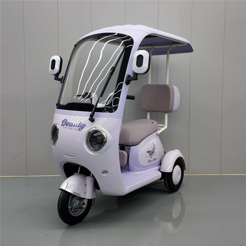 Custom High-Performance Electric Tricycle DS-11 from China Suppliers - Safe, Comfortable, and Eco-Friendly Urban Transport Factory Service, Exporters