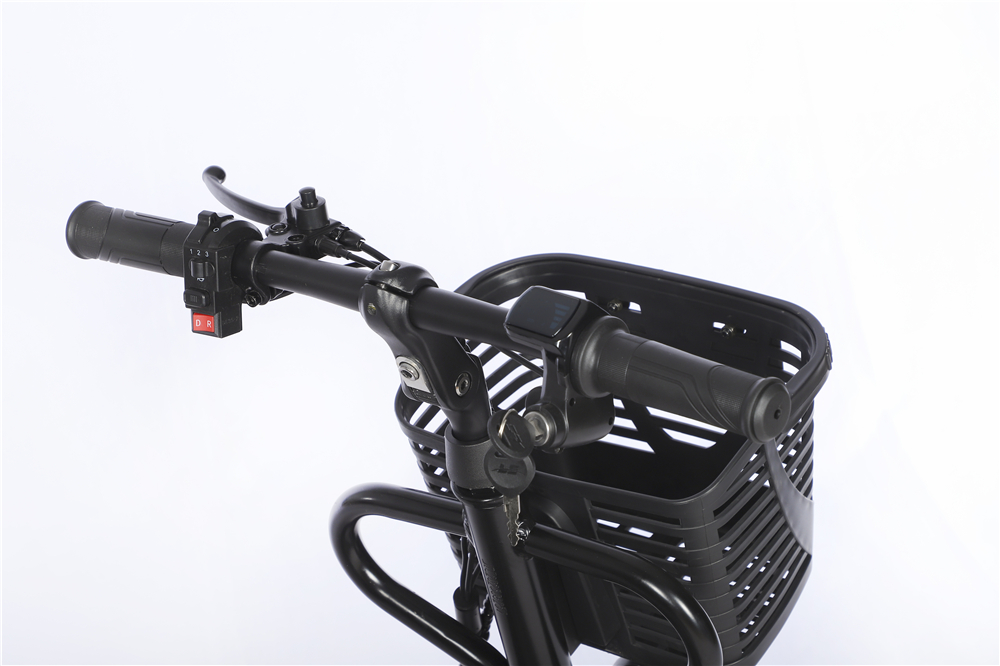 Electric tricycle A-1 Equipped with a 350W motor, 6-channel controller, and can be equipped with either 48V 12A or 48V 20A lithium-ion batteries (11)
