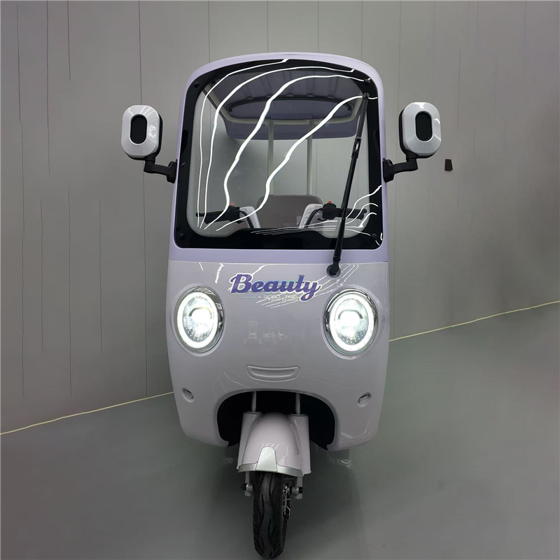 Custom High-Performance Electric Tricycle DS-11 from China Suppliers - Safe, Comfortable, and Eco-Friendly Urban Transport Factory Service, Exporters