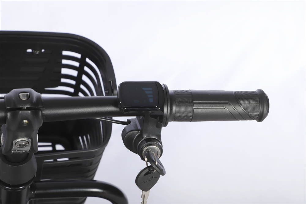Electric tricycle A-1 Equipped with a 350W motor, 6-channel controller, and can be equipped with either 48V 12A or 48V 20A lithium-ion batteries (14)