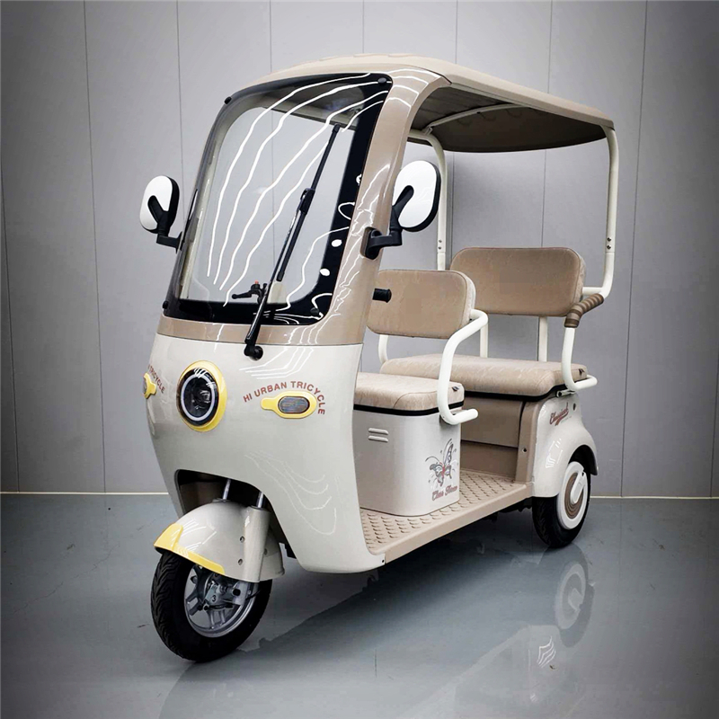 High-Quality DS-1 Electric Tricycle: Powerful Motor, Safe & Eco-Friendly Urban Transport by China Suppliers & Factory Manufacturer, Service