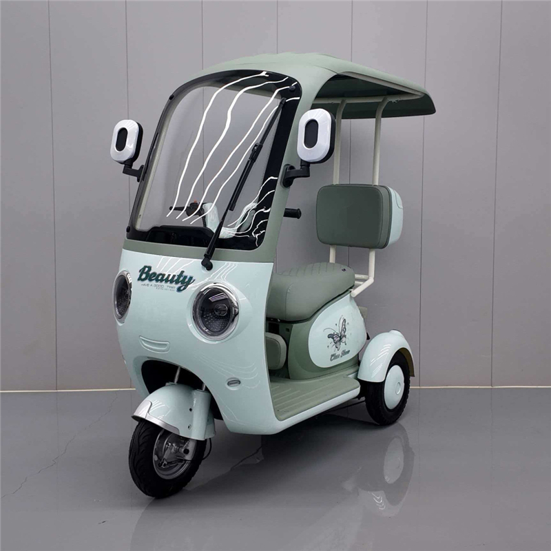 Custom High-Performance Electric Tricycle DS-11 from China Suppliers - Safe, Comfortable, and Eco-Friendly Urban Transport Factory Service, Exporters