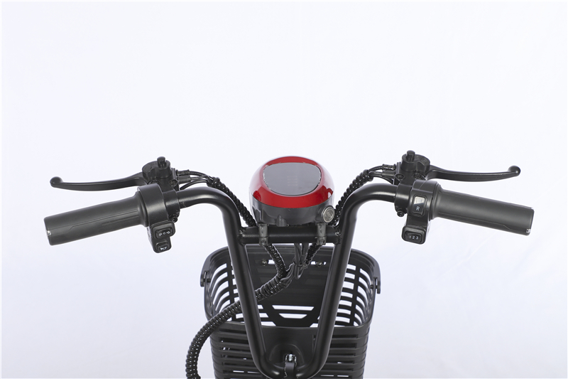 Electric Three-Wheeler S1 control details