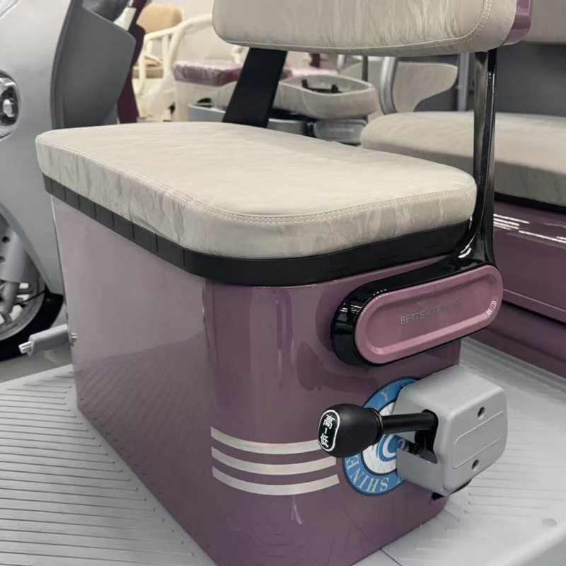 Electric tricycle DS-2 Powerful performance, safe and comfortable, the preferred choice for urban commuting, cargo transportation and environmental protection (3)