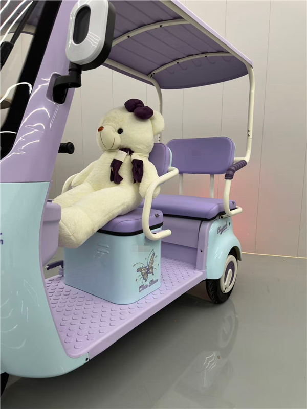 Electric tricycle DS-1 Powerful engine, safe and comfortable, ideal for urban transportation, cargo carrying and environmental protection (5)