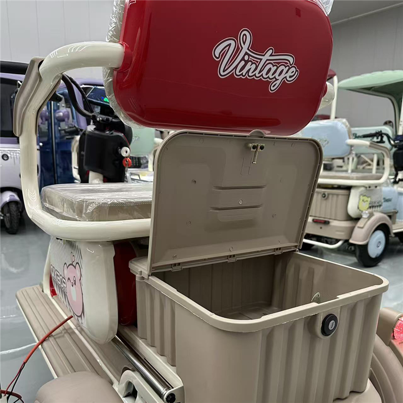 Electric tricycle C3 Powerful engine, safe and comfortable, ideal for urban transportation and cargo carrying, and environmentally friendly (9)